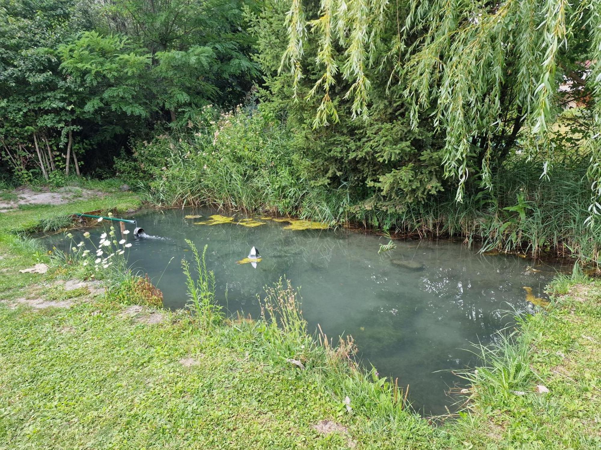 Chambre Aux Gorges De Daluis غيوم المظهر الخارجي الصورة